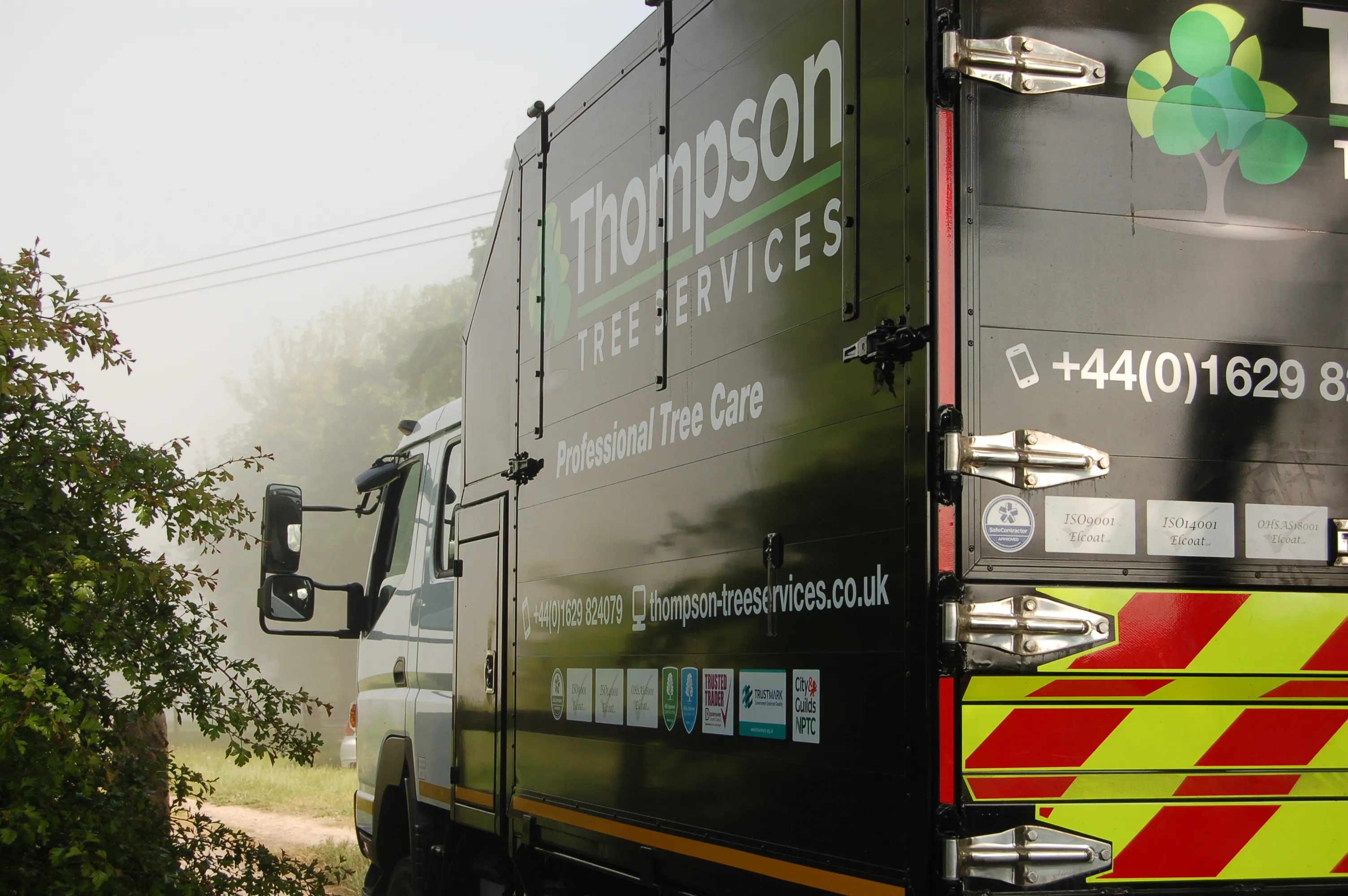 Thompson Tree Services Professional Tree Management and Consultancy